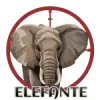 Elefante