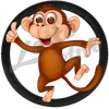 Mono